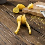 آبلیموگیری هوم سنتر - Image 7