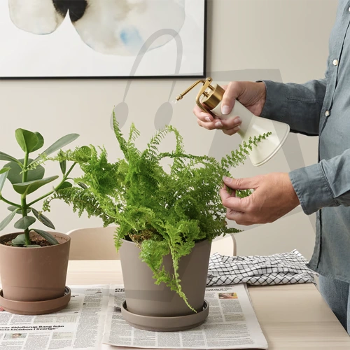 VATTENKRASSE Plant mister-02 اسپری آب پاش ایکیا مدل VATTENKRASSE - Image 2