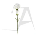 شاخه گل مصنوعی میخک سفید ایکیا