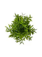 بوته سبز مصنوعی ایکیا مدل FEJKA - Image 3