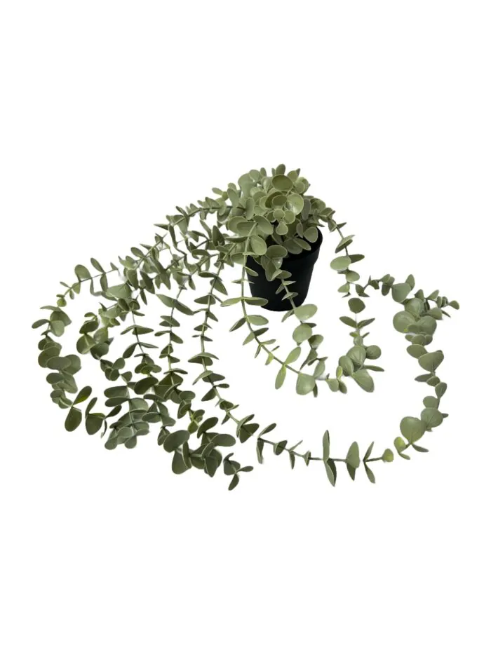 9-4-scaled-1.jpeg بوته آویز اکالیپتوس ایکیا مدل FEJKA - Image 4